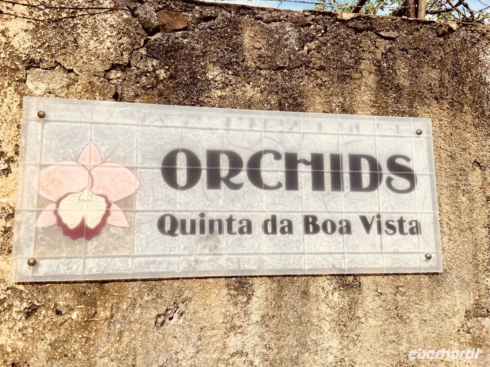 Orchideen-Plantage