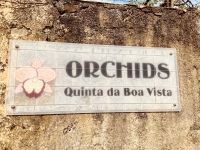Orchideen-Plantage