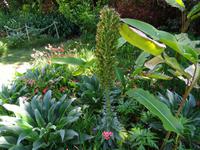 Orchideengarten 