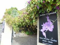 Orchideengarten (1)