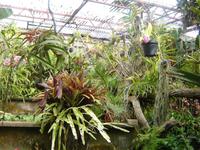 Orchideengarten