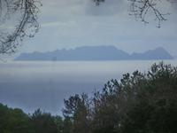 P1010547