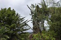 P1050418