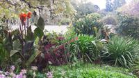 Palheiro Gärten Funchal (Blandy´s Garden)