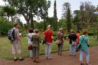 Palheiro Garden
