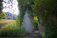 Palheiro Gardens