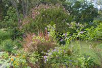 Palheiro Gardens