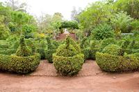 Palheiro Gardens