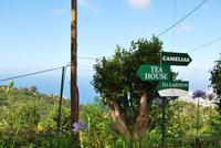 Palheiro Garten