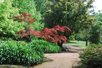 Palheiro Garten