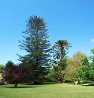 Palheiro Garten