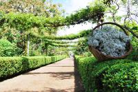 Palheiro Garten