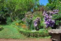 Palheiro Garten