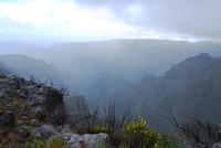 Pico Ruvio