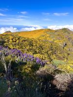Pico do Arieiro