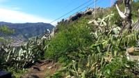 Pico do Facho