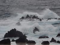 Porto Moniz