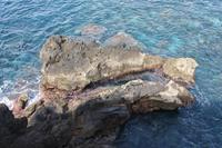 Porto Moniz_5