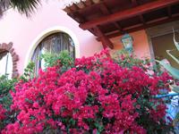 Private Führung durch Botanischen Garten im Hotel Quinta Splendida