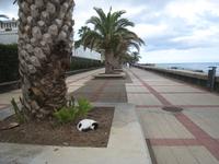 Promenade in Canico de Baixo
