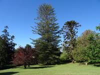 Quinta do Palheiro