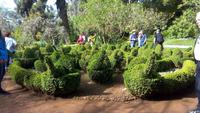 Quinta do Palheiro, Anwesen der Fam. Blandy