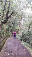Ribeiro Frio - Wanderung durch einen Lorbeerwald...