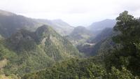 Ribeiro Frio - Wanderung durch einen Lorbeerwald...
