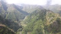 Ribeiro Frio - Wanderung durch einen Lorbeerwald...