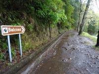Ribeiro Frio - wetterbedingte Absage der Mini-Wanderung auf der Levada 