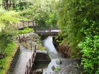 Ribeiro Frio 