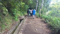 Ribeiro Frio, kurze Levada Wanderung zum Aussichtspunkt „Balcões“