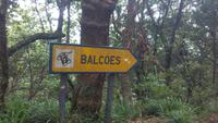 Ribeiro Frio, kurze Levada Wanderung zum Aussichtspunkt „Balcões“