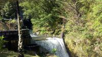 Ribeiro Frio- Forellenzucht