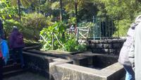 Ribeiro Frio- Forellenzucht
