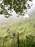 Ribeiro Frio