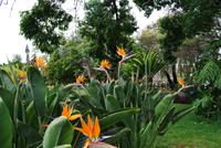 Santa Catarina Park