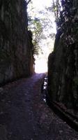 Serra do Faial-Levada