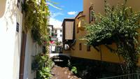 Stadtrundgang in Funchal