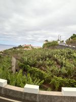 Terrassenfelder