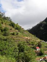 Terrassenfelder