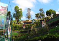 Villen in Monte