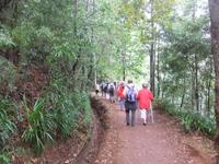 Wanderung an der Levada da Serra do Faial