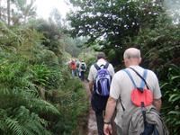Wanderung an der Levada da Serra do Faial