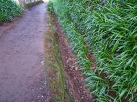 Wanderung auf der 