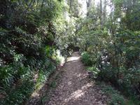 Wanderung entlang der Levada da Serra do Faial 