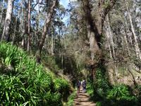 Wanderung entlang der Levada da Serra do Faial 