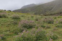 Wanderung im 