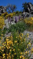 Wanderung zum Pico do Ruivo