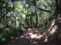 Wanderweg im 